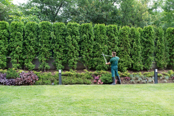 Best Commercial Tree Services  in Bristol, VA