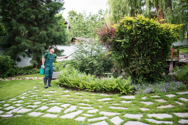 Best Fruit Tree Pruning  in Bristol, VA