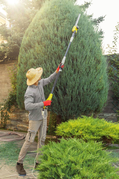 Best Landscape Design and Installation  in Bristol, VA